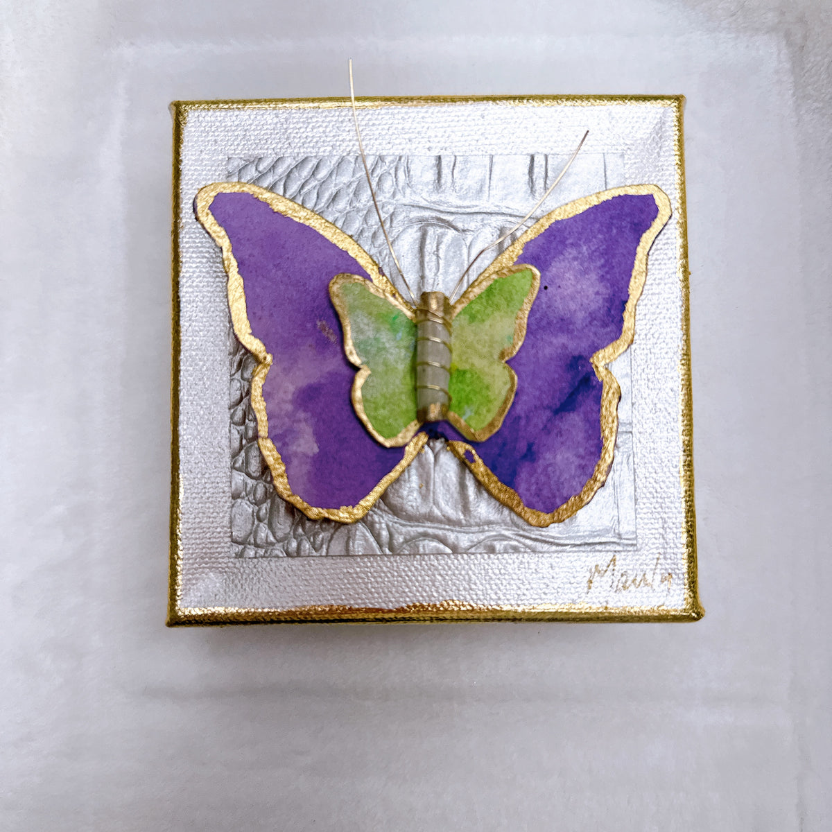 Dana Manly Art Bright Butterfly in Shadowbox 6x6 main image 1