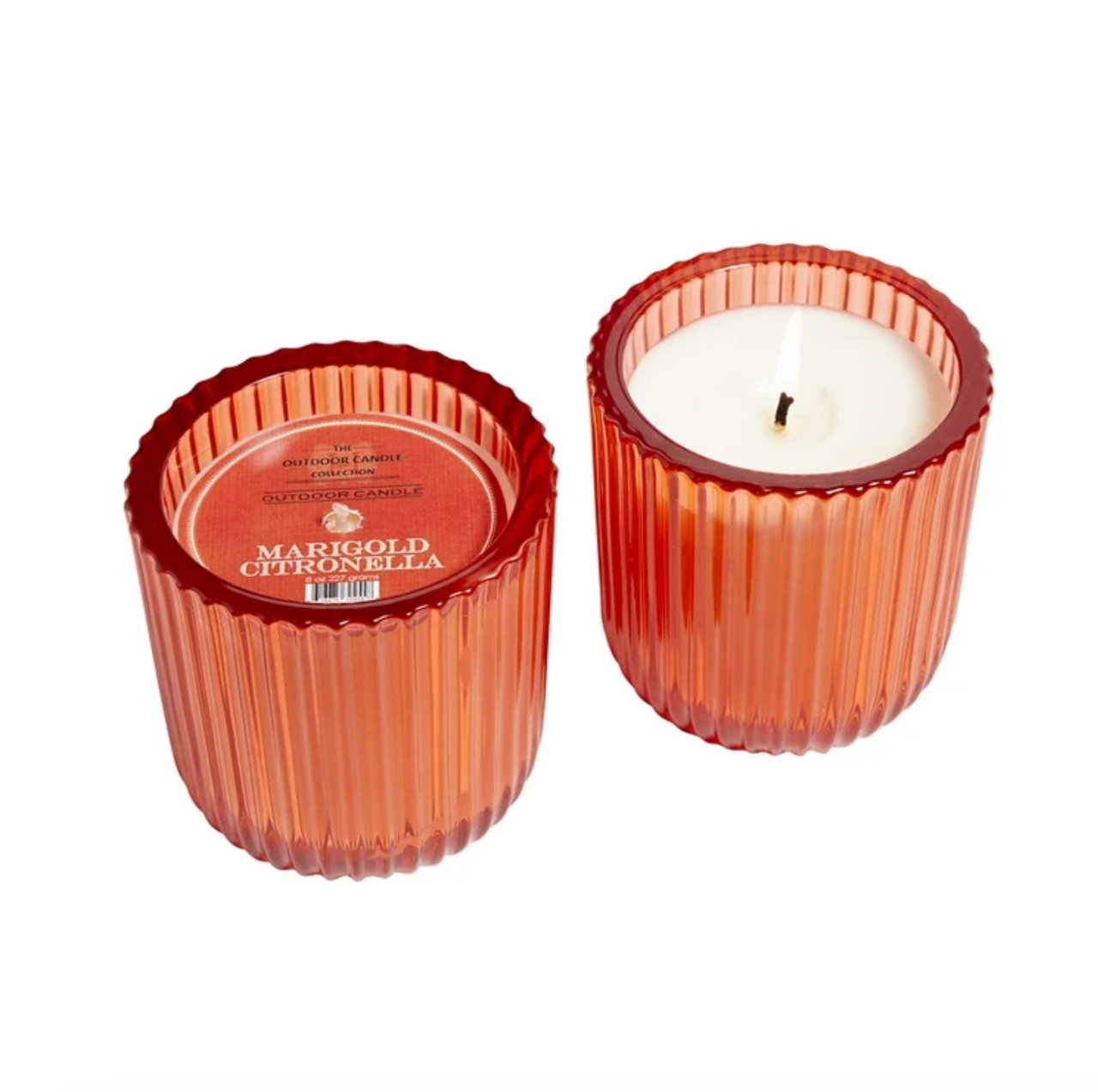 Citronella Marigold 1 Wick Candle in Colored Glass